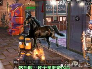 明日之后外观爆料最新,探索未知世界，开启全新冒险之旅