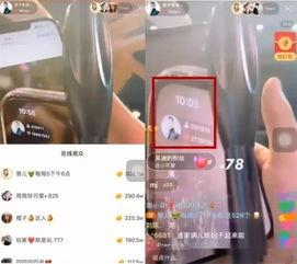 仙家主播爆料视频大全最新,视频大全背后的惊人真相